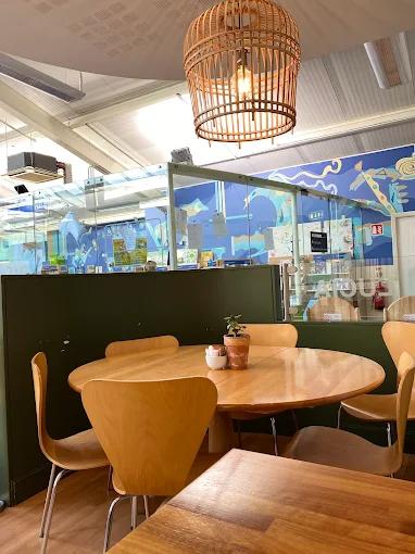 Cheddar & Scallion Potato Cakes